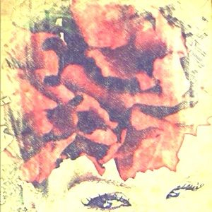 Hi☺️Enjoy Lovely Wrapping/free gifts!!!